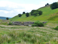 
The British Ironworks dam, June 2013